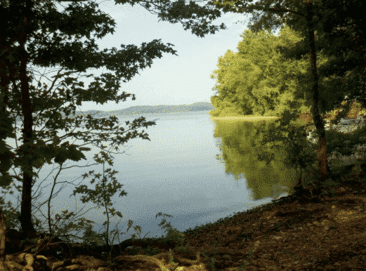 Land On Kentucky Lake For Sale